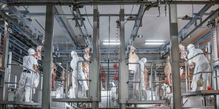 Mercado de haciendas con caída de precios y faenas