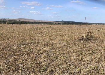 La falta de agua llegó a un punto que “preocupa”, dijo el presidente de la Rural de Soriano