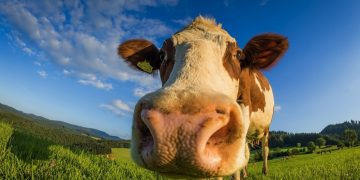 Los indicadores de comienzo de semana no son positivos