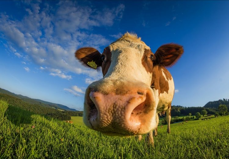 Los indicadores de comienzo de semana no son positivos