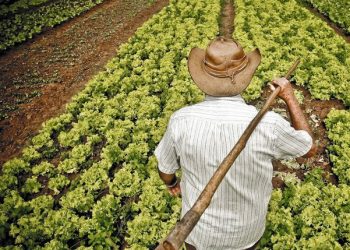 Si esta crisis es una guerra, los agricultores también son soldados
