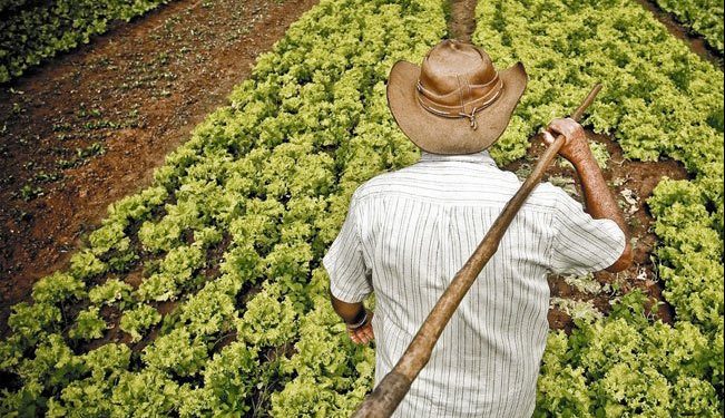 Si esta crisis es una guerra, los agricultores también son soldados
