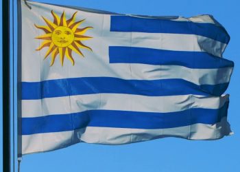 El campo está en la primera línea de la solidaridad