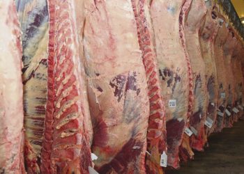 La producción y comercio de carne en tiempos de pandemia