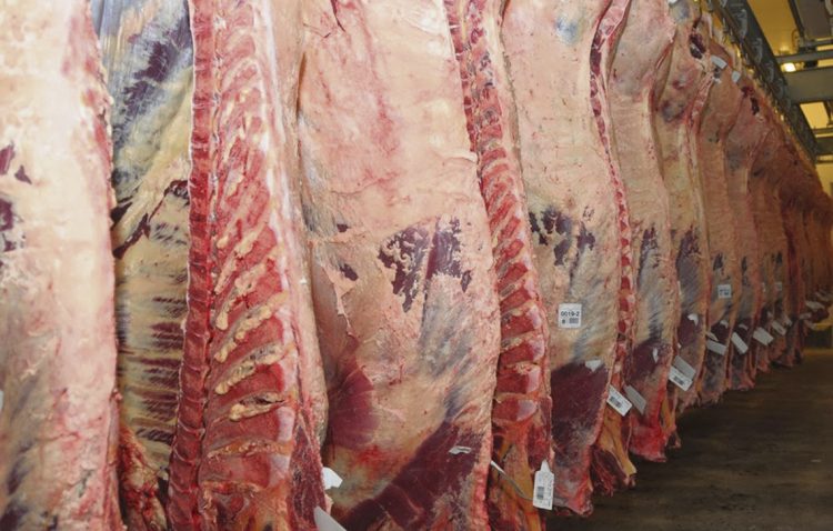 La producción y comercio de carne en tiempos de pandemia