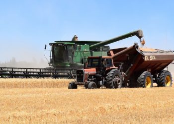 Ing. Badiola: el déficit hídrico afecta toda la cadena de pago del productor que la sufre