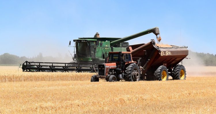 Ing. Badiola: el déficit hídrico afecta toda la cadena de pago del productor que la sufre