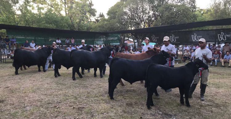 ExpoDurazno colmó expectativas