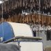 La industria del cuero en su peor momento histórico