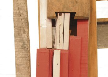 Exposición de José Pelayo