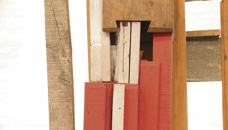 Exposición de José Pelayo