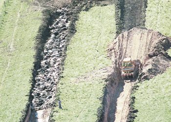 El COVID-19 y el recuerdo de la aftosa hace casi 20 años