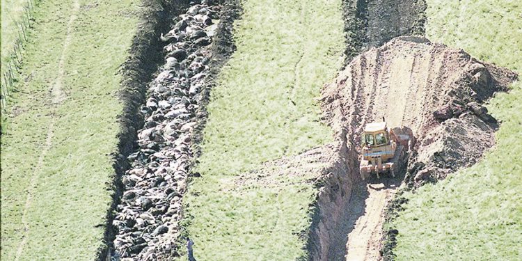 El COVID-19 y el recuerdo de la aftosa hace casi 20 años