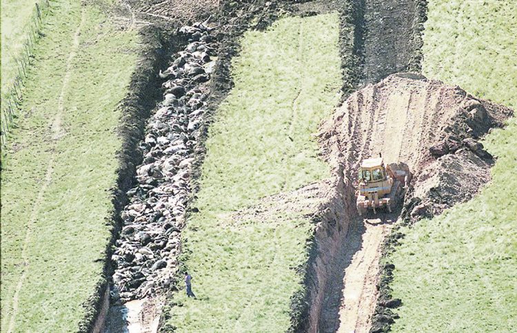 El COVID-19 y el recuerdo de la aftosa hace casi 20 años