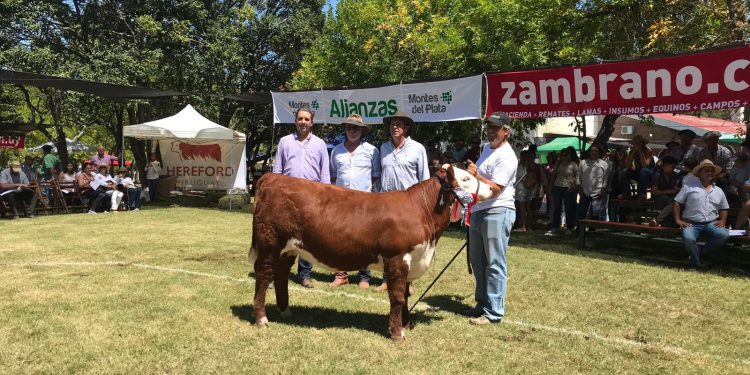 ExpoDurazno colmó expectativas