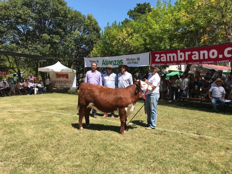 ExpoDurazno colmó expectativas