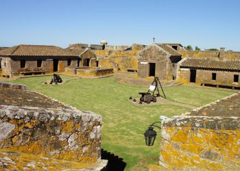 Horacio Arredondo,  semblanza de un pionero
