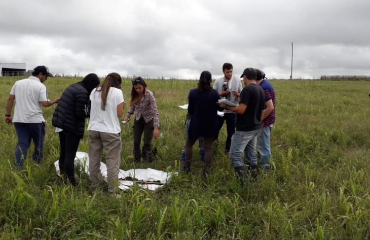 UTEC, la universidad “pretende trabajar muy cerca del sistema productivo”