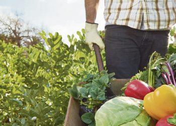 El mundo necesita de los trabajadores rurales