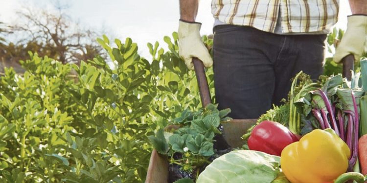 El mundo necesita de los trabajadores rurales