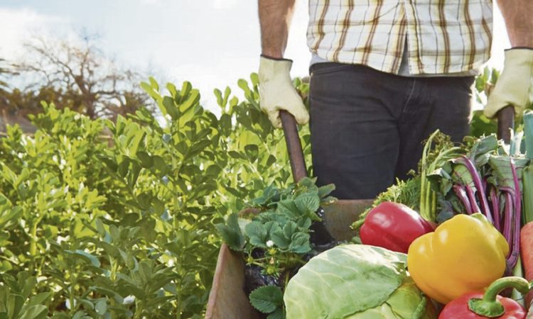 El mundo necesita de los trabajadores rurales