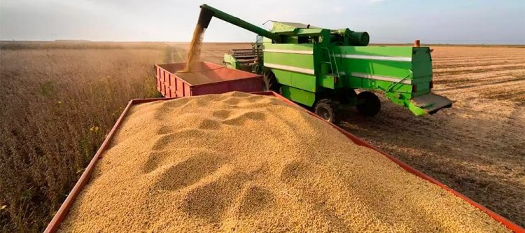 Comienza la zafra de soja con preocupación y cautela ante los rendimientos