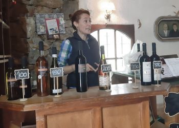 Las bodegas deben comprender que el mercado de vinos está cambiando