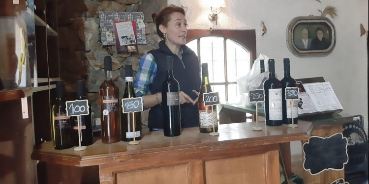 Las bodegas deben comprender que el mercado de vinos está cambiando