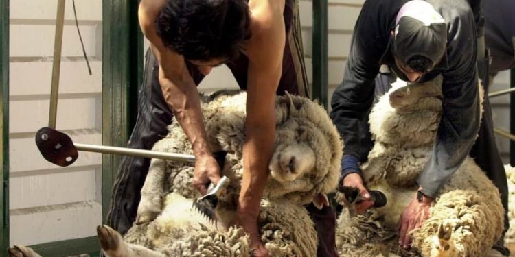 Semana sin actividad en el mercado local y con leve suba en el IME