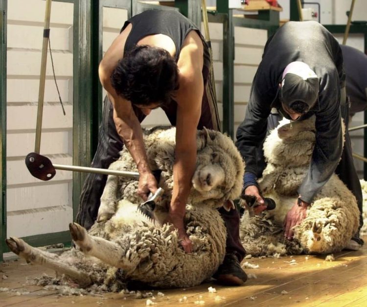 Semana sin actividad en el mercado local y con leve suba en el IME