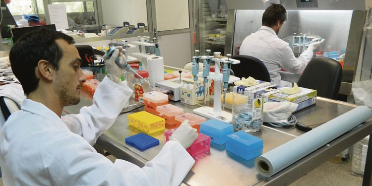 El mensaje de whatsapp que movilizó a empresarios a donar insumos para testeos médicos