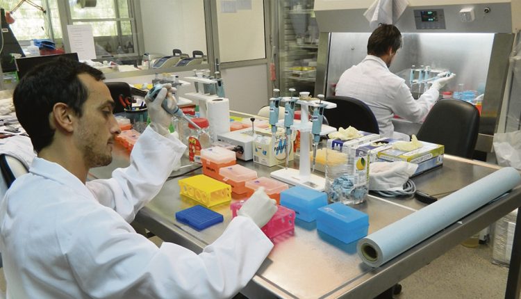 El mensaje de whatsapp que movilizó a empresarios a donar insumos para testeos médicos