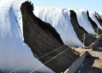 Ante posibles demoras logísticas, hay productores que han comprado silobolsas
