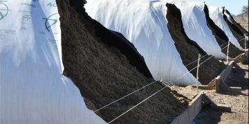 Ante posibles demoras logísticas, hay productores que han comprado silobolsas