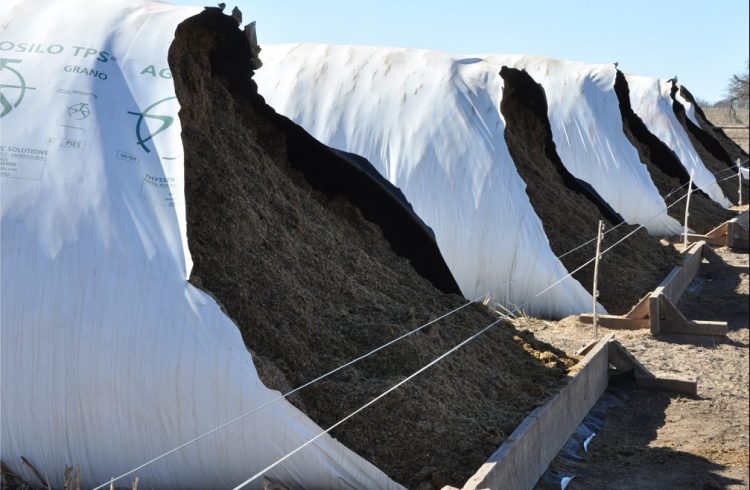 Ante posibles demoras logísticas, hay productores que han comprado silobolsas