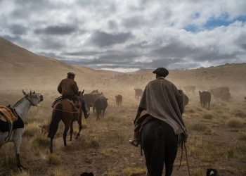 En medio del temporal: El agro al rescate