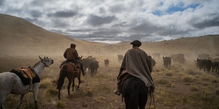 En medio del temporal: El agro al rescate