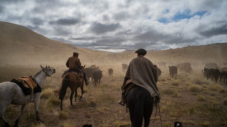 En medio del temporal: El agro al rescate
