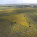 AGRICULTURA: Lluvias dispares afectan resultados en el maíz y la soja