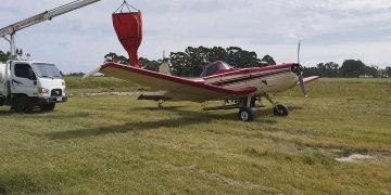 Con buen manejo, los cultivos de servicios protegen y enriquecen los suelos
