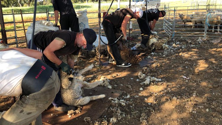 El mundo necesita de los trabajadores rurales