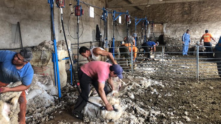 El mundo necesita de los trabajadores rurales