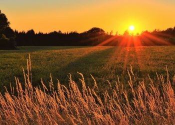 Los periodistas agropecuarios de todo el país en un mensaje común