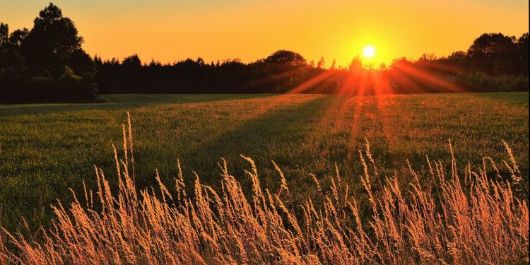 Los periodistas agropecuarios de todo el país en un mensaje común