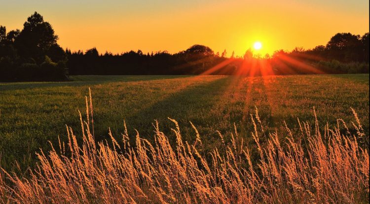 Los periodistas agropecuarios de todo el país en un mensaje común