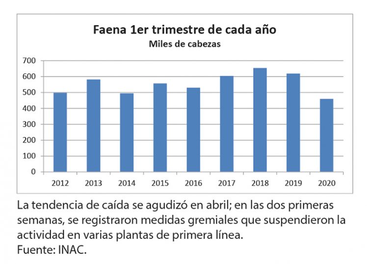 Fuerte caída de la producción de carne