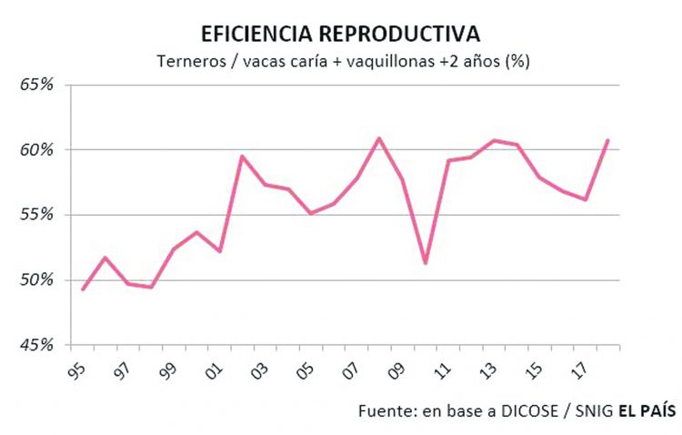 Uruguay: ¿la ganadería juega al empate?