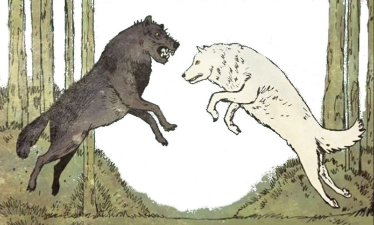 Dos formas de ver el mundo: Realismo y liberalismo