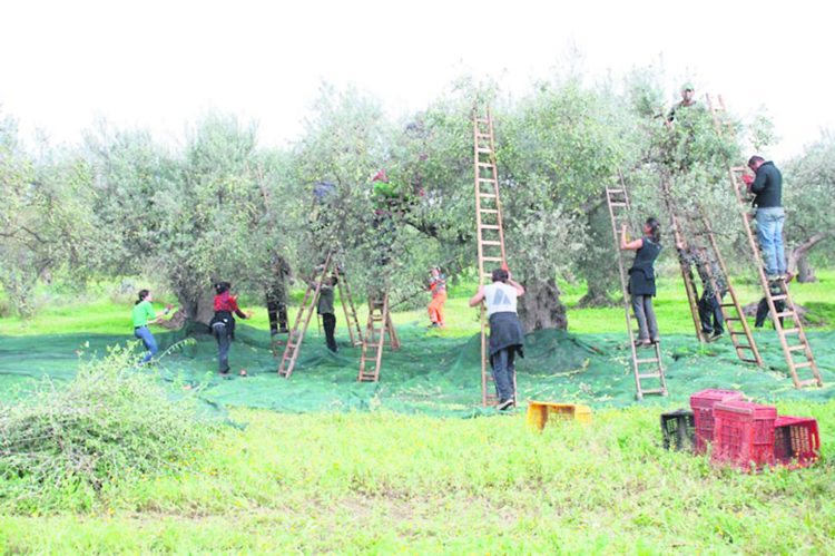 El Mirador de Próspero