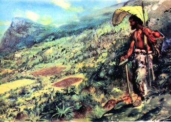 La vuelta a lo sencillo